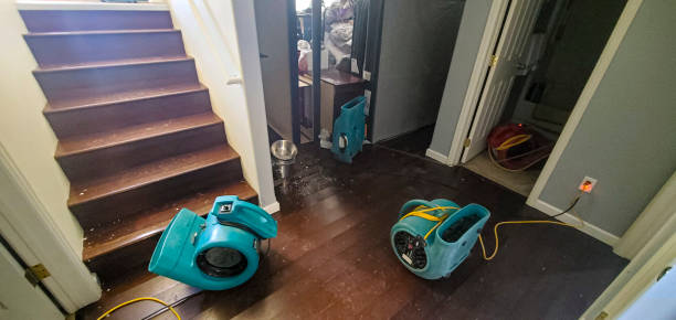 Best 24-hour water damage restoration  in Adamstown, MD