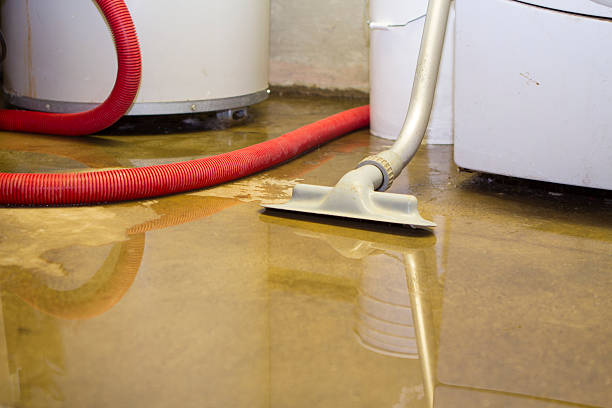 Best Local water damage restoration  in Adamstown, MD