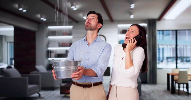 Best Ceiling water damage repair  in Adamstown, MD